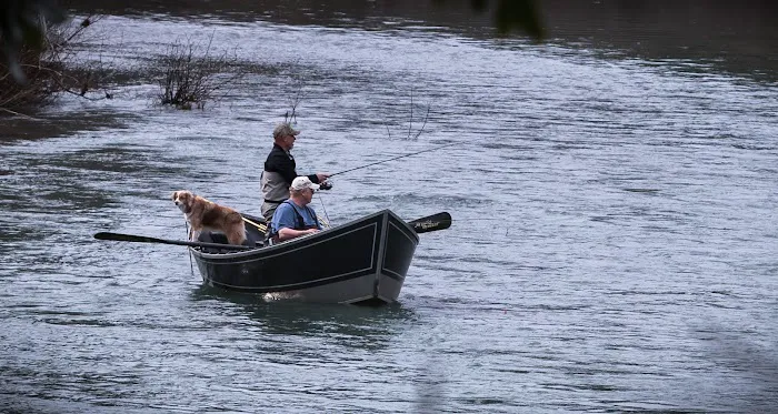 Edson Creek Campground Picture 4