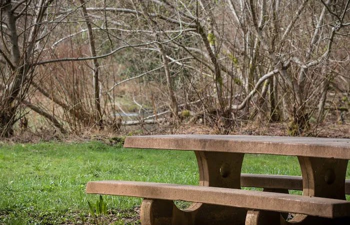 Edson Creek Campground Picture 9