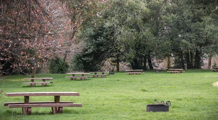 Edson Creek Campground Picture 7