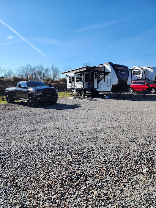 Cousin Eddie's RV Park Picture 4