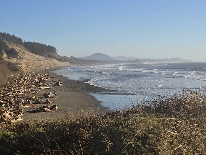 Cape Blanco Campground Picture 4