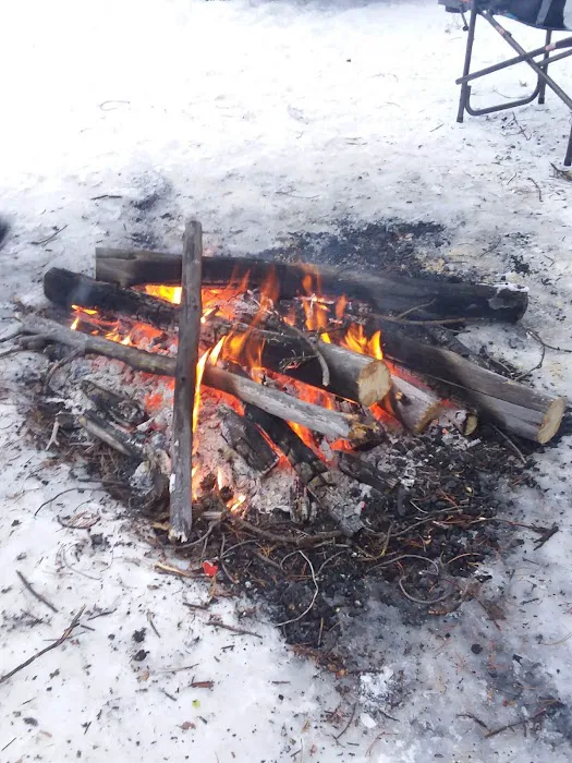 Swamp Wells Horse Camp Picture 1