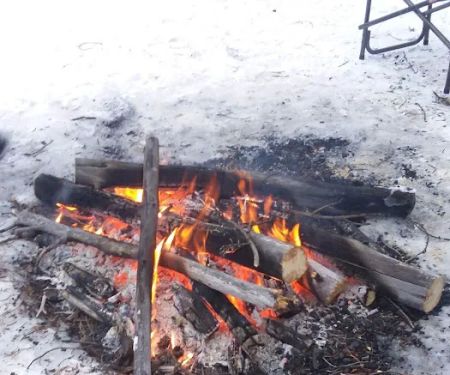 Swamp Wells Horse Camp