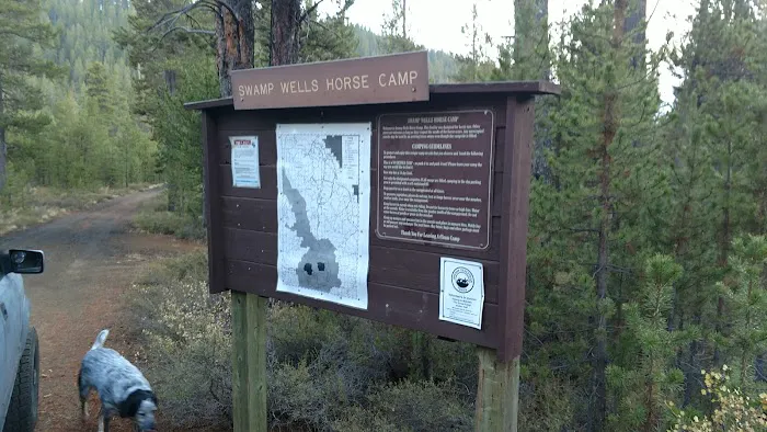 Swamp Wells Horse Camp Picture 2