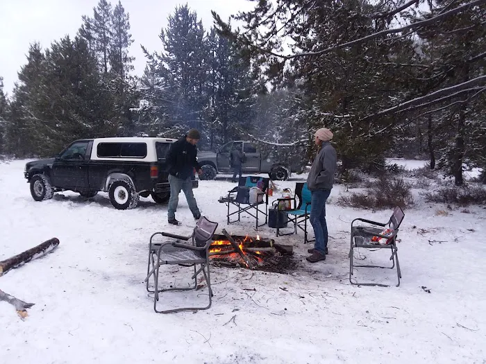 Swamp Wells Horse Camp Picture 5