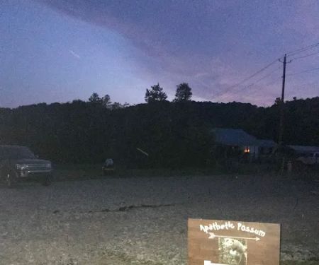 Apathetic Possum RV Park 2