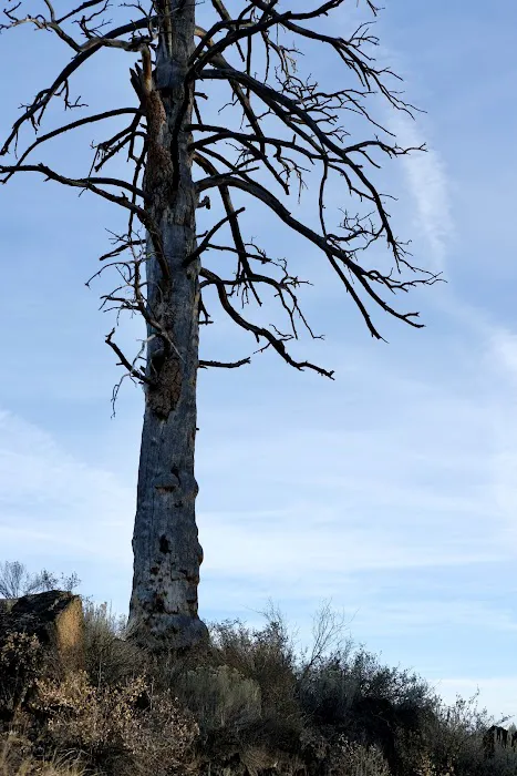 China Hat Campground Picture 9