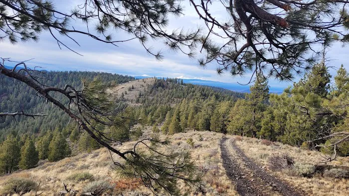 Pine Mountain Observatory Campground Picture 10