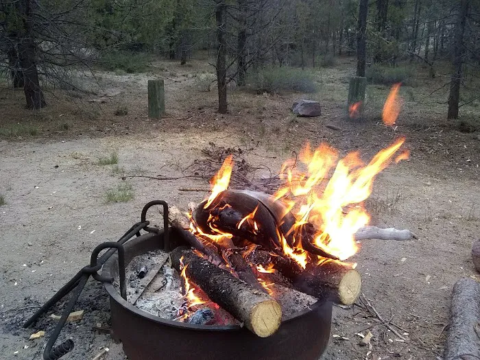 Corral Springs Campground Picture 10