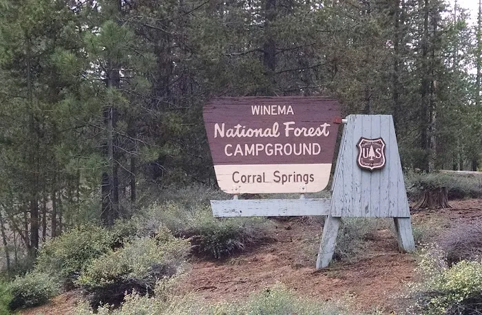 Corral Springs Campground Picture 2