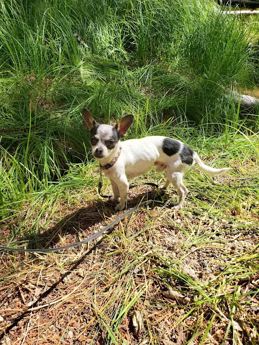 Corral Springs Campground Picture 7