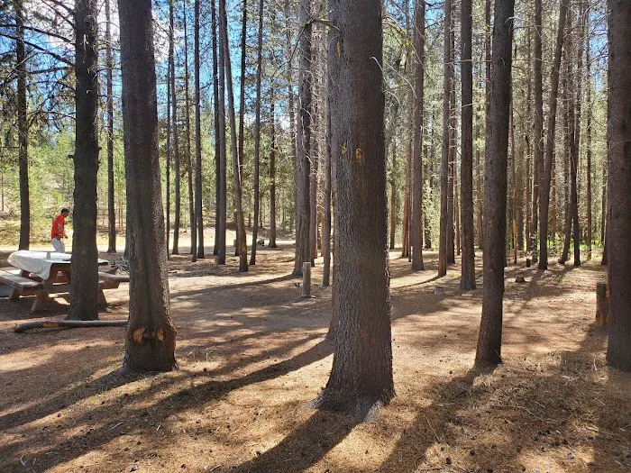 Corral Springs Campground Picture 1