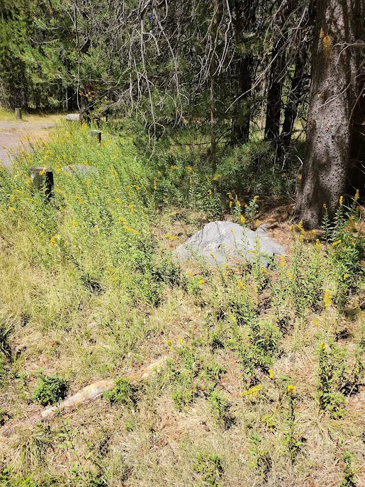 Corral Springs Campground Picture 8