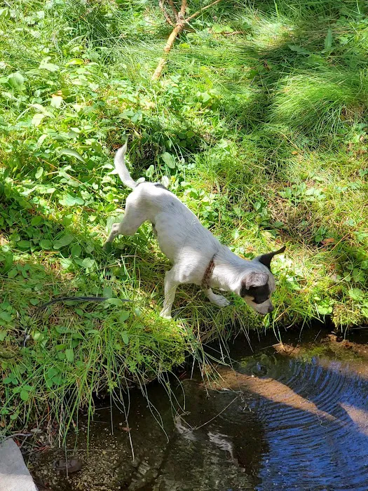 Corral Springs Campground Picture 4