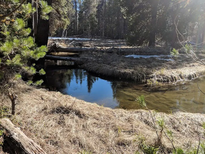 Willow Campground Picture 3