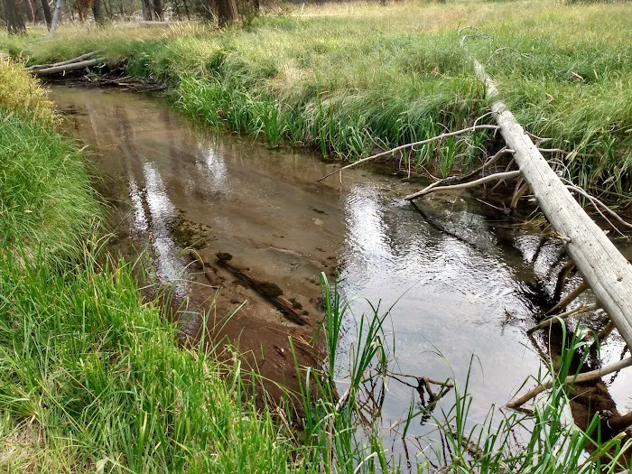 Willow Campground Picture 4