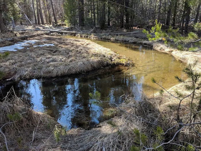 Willow Campground Picture 1