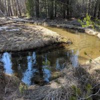 Willow Campground ico