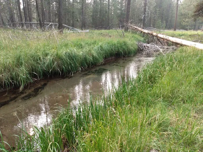 Willow Campground Picture 2