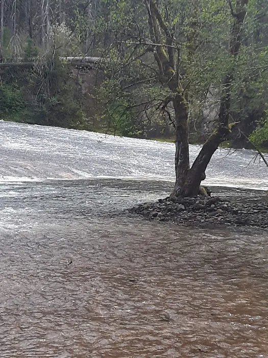 South Umpqua Falls Campground Picture 3