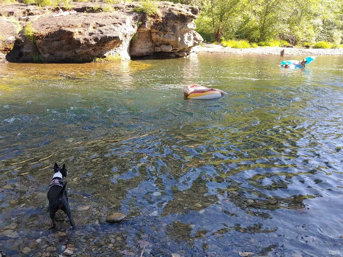 South Umpqua Falls Campground Picture 9