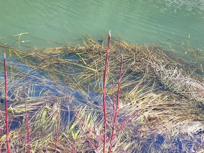 Buckeye Lake Campground Picture 3