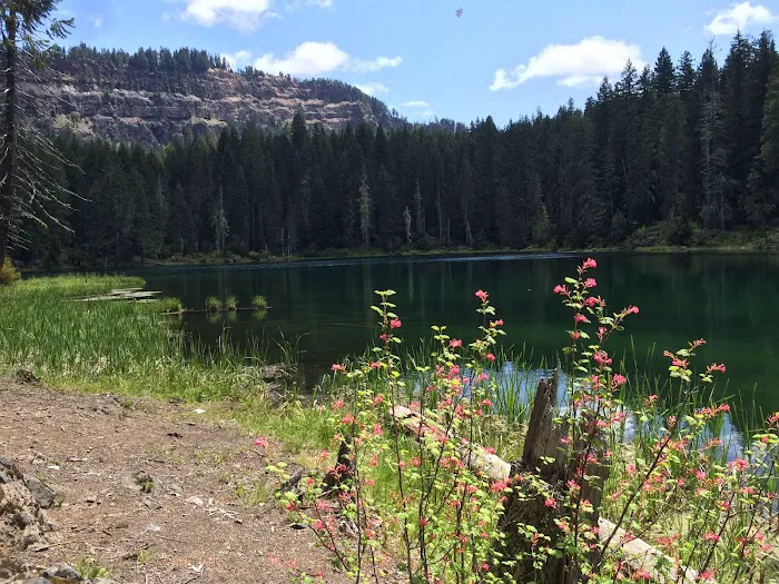 Buckeye Lake Campground Picture 4