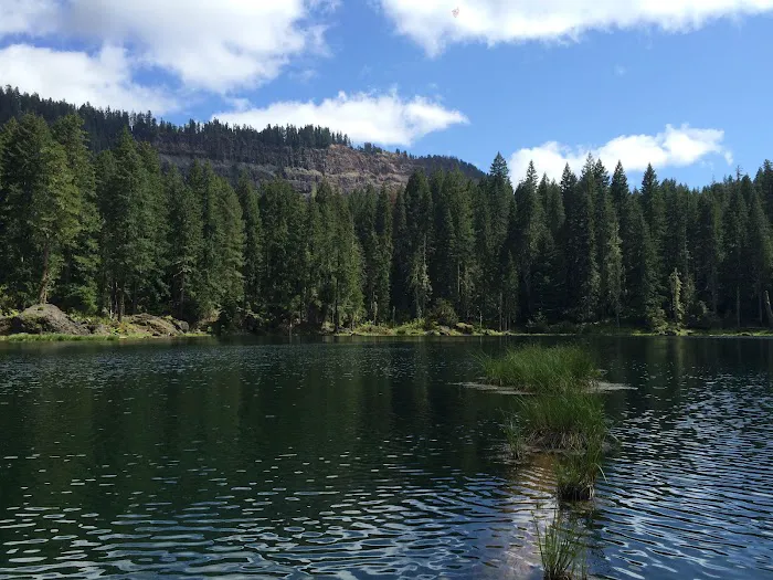 Buckeye Lake Campground Picture 2