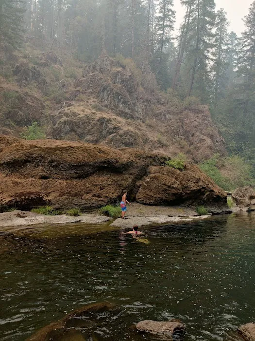 Ash Flat Campground Picture 10