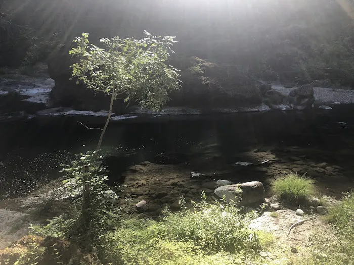 Ash Flat Campground Picture 7