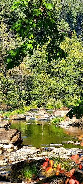 Ash Flat Campground Picture 2