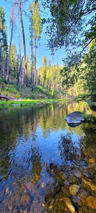 Ash Flat Campground Picture 3