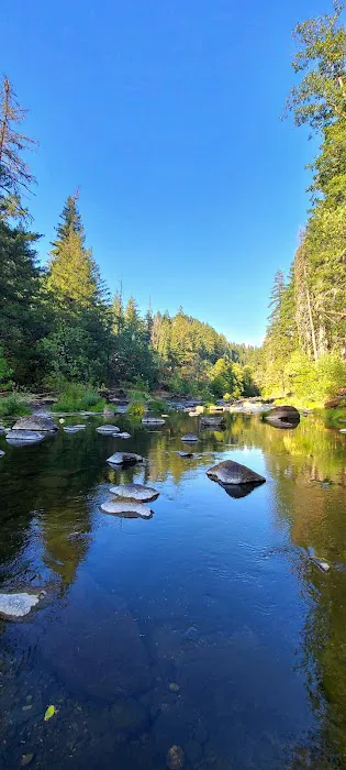 Ash Flat Campground Picture 5