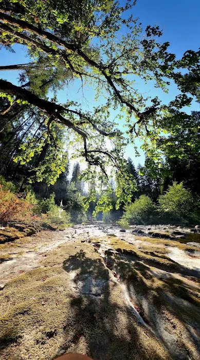 Ash Flat Campground Picture 1