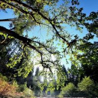 Ash Flat Campground ico