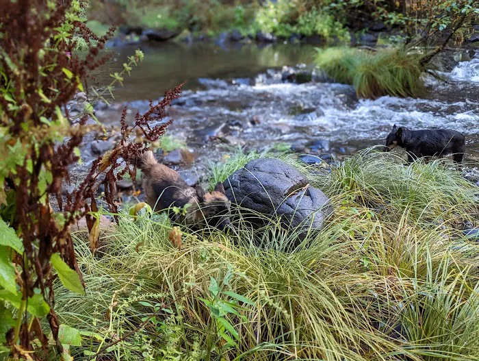 Cover Campground Picture 4