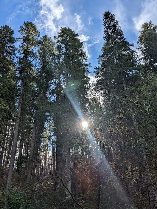 Cover Campground Picture 1