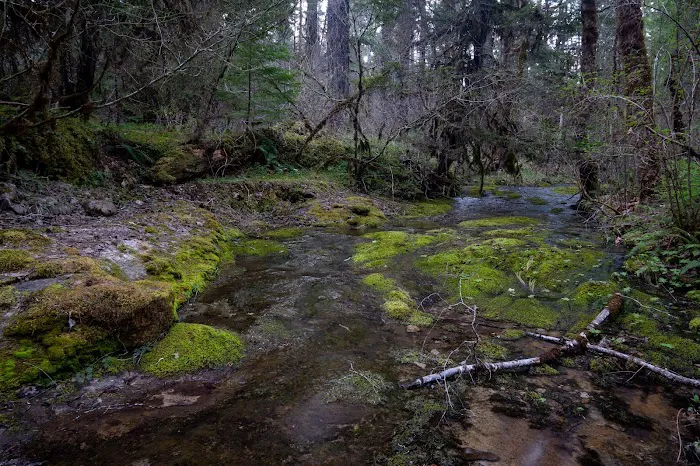 Cover Campground Picture 5