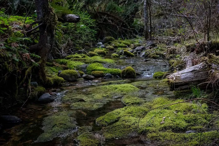 Cover Campground Picture 8