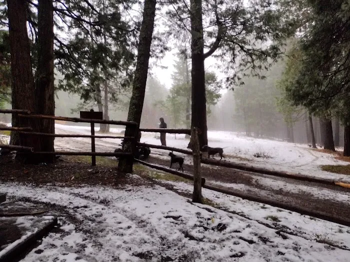 Whisky Camp Guard Station Picture 4