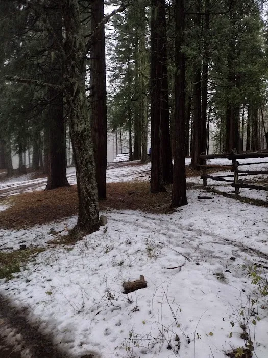 Whisky Camp Guard Station Picture 6