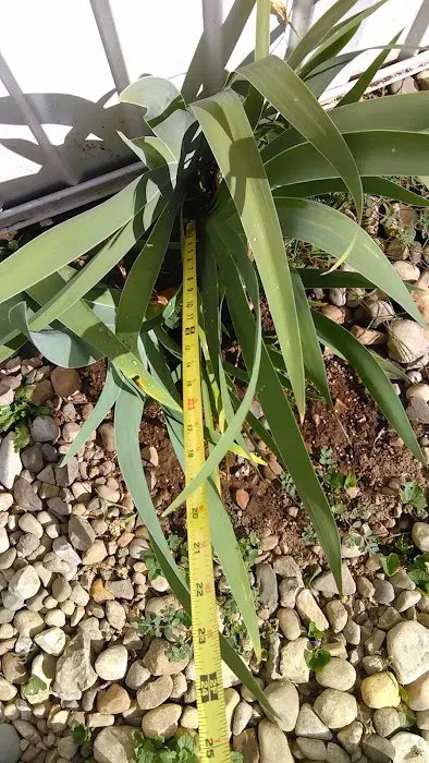 Fairlane Mobile Home Park Picture 9