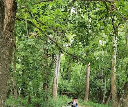 Fairlane Mobile Home Park