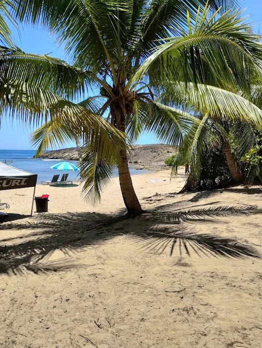 Shenandoah Commons Picture 2