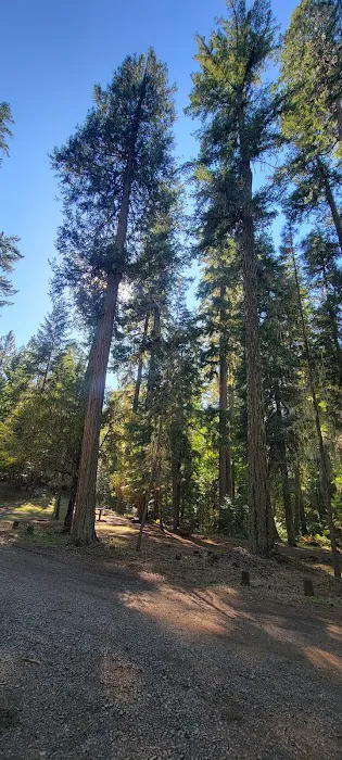 Threehorn Campground Picture 7