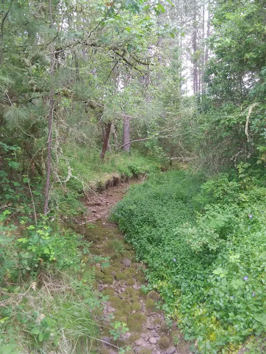 Threehorn Campground Picture 5