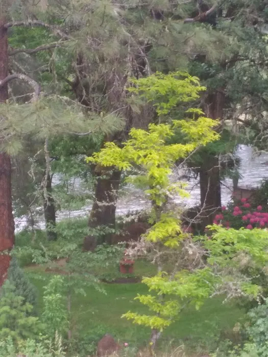 Threehorn Campground Picture 6