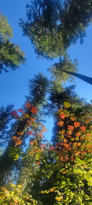 Threehorn Campground Picture 3