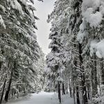 Threehorn Campground