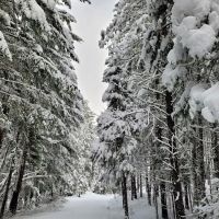 Threehorn Campground ico